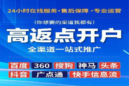 百度SEO推广公司经典之作：打造行业领先品牌